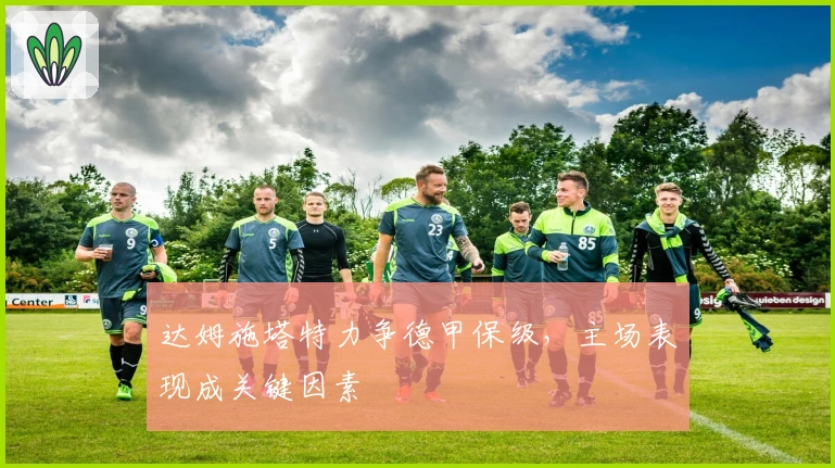 达姆施塔特力争德甲保级，主场表现成关键因素