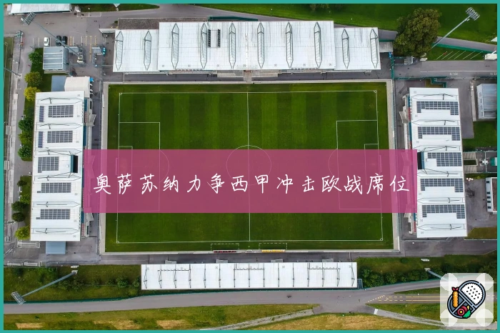 奥萨苏纳力争西甲冲击欧战席位