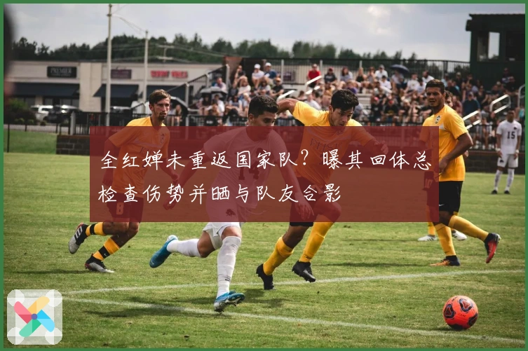 全红婵未重返国家队？曝其回体总检查伤势并晒与队友合影